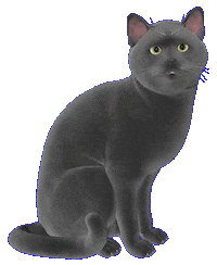 Cat Techno Sticker by claudiamate