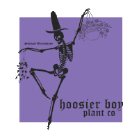 hoosierboyplantco dancingskeleton hoosierboyplantco hoosierboyplants schlegelgreenhouse Sticker