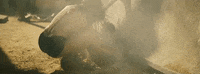 fifth harmony thats my girl GIF by Fifth Harmony