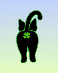Black Cat GIF