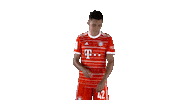 Football Soccer Sticker by FC Bayern Munich
