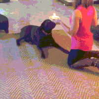 happy day GIF