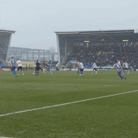 Goal GIF by Bolton Wanderers FC