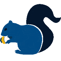 Squirrels Utc Sticker by The University of Tennessee at Chattanooga