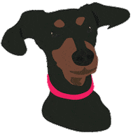 Dog Sticker by Vitality
