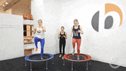 belliconUSA best ever rebounding rebounder bellicon GIF
