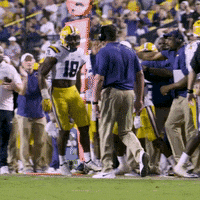 Lsu Football GIF by LSU Tigers