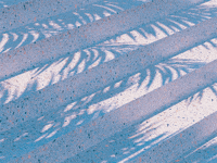 relaxing palm trees GIF by Best Served Bold