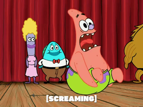 season 5 GIF by SpongeBob SquarePants