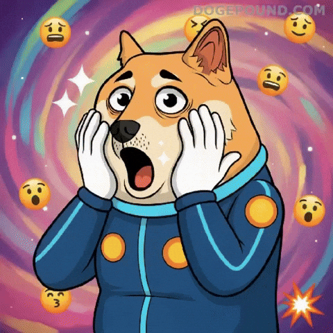 Shiba Inu Wow GIF by Doge Pound