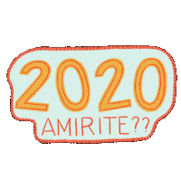 meetraffy 2020 amirite meetraffy typograffers Sticker