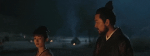 ninjafey giphygifmaker 知否知否应是绿肥红瘦 zhao liying 顾廷烨 GIF