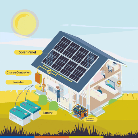 JasSunEdison giphyupload GIF