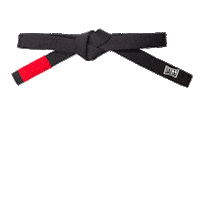 FederationJJ uae jiujitsu Oss gi Sticker