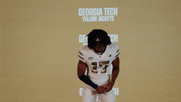 Georgia Tech Football Sport GIF by Georgia Tech Yellow Jackets