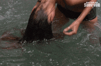 survivorau hot sexy hair survivor GIF