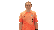 National Team Football Sticker by Suomen jalkapallo- ja futsalmaajoukkueet