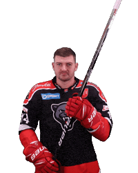 tiposshl sport hockey panthers hokej Sticker