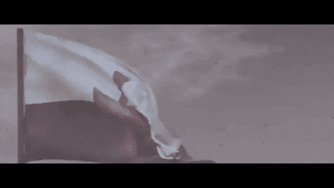 Music Video Flag GIF by Sabaton