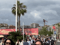 Festival People GIF by Alex Boya