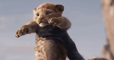 the lion king disney GIF