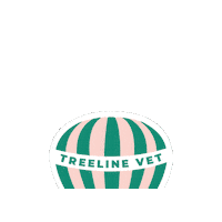 Hot Air Balloon Sticker by Treeline Vet
