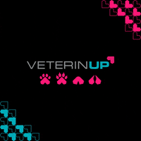 Art Love GIF by veterinup