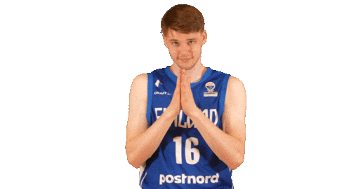 National Team Basketball Sticker by Basket_fi