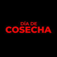 Papa Cosecha GIF by Agroindustria Peimbert