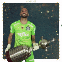 Soccer Futebol GIF by SE Palmeiras