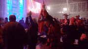 grey cup happy dance GIF by REDBLACKS