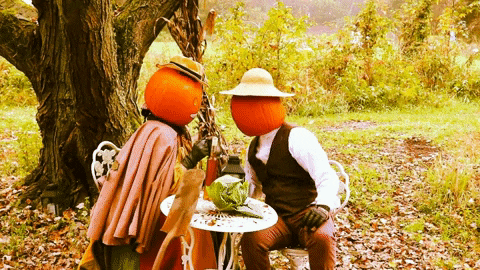 Over The Garden Wall Fall GIF by Rag and Bone Meadery