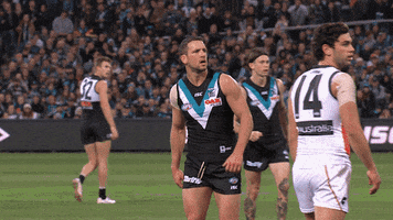 pafc celebrate GIF by Port Adelaide FC