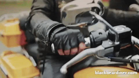 BlackBearDiner giphyupload racing bear motorcycle GIF