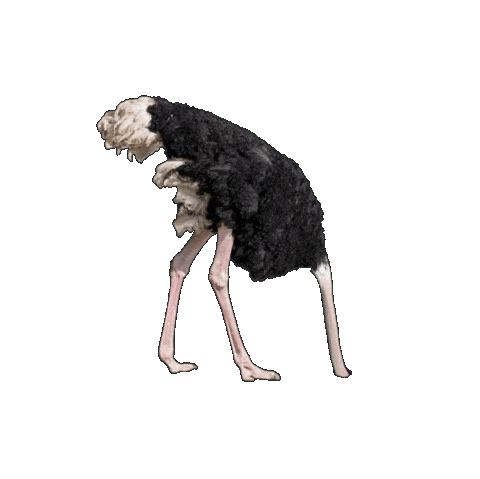 Sticker Vogel Sticker