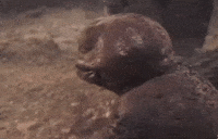 Behave Knock It Off GIF