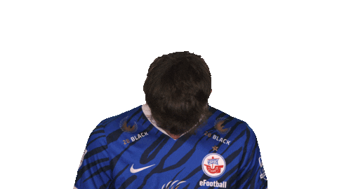 Hansa Rostock Fifa Sticker by Bundesliga