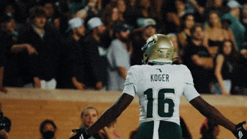 College Football GIF by USF Athletics