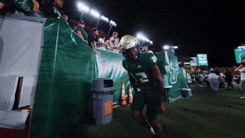 College Football GIF by USF Athletics