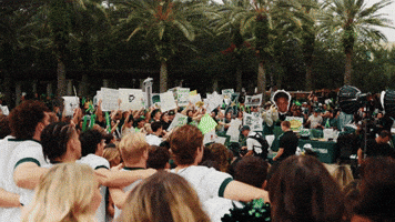 College Football GIF by USF Athletics