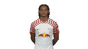 Rb Leipzig Hello Sticker by Bundesliga