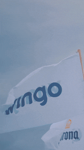 GIF by Wingo