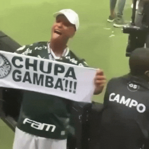 portalverdao palmeiras corinthians sep portalverdao GIF