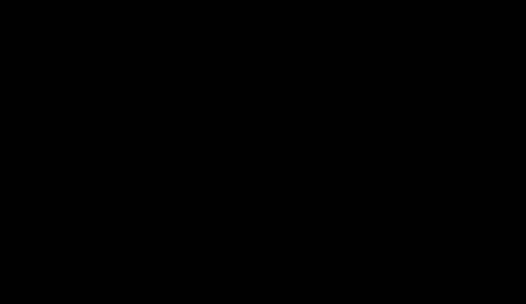 Hollandmi GIF by Discover Holland