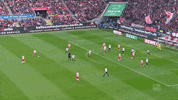 jonas hector football GIF by 1. FC Köln