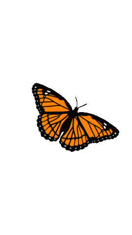 madebybrookenicole summer color orange spring Sticker