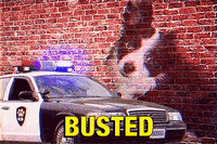 Busted Pup