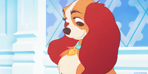 lady and the tramp disney GIF