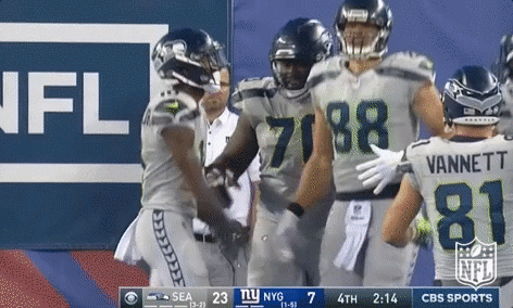Seattle Seahawks Football GIF by NFL