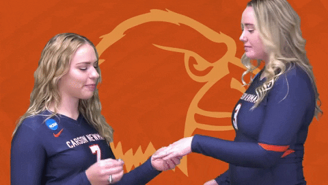C-N Volleyball GIF by Carson-Newman Athletics